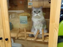 -艺味深尝(云锦路店)