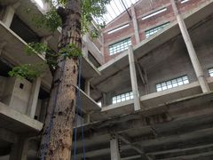 -广州市紫泥堂文化创意园景区