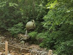 -本溪汤沟绿石谷森林公园