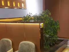 -南山翁新概念川菜(江宁万达广场店)