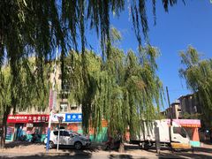 -大连市普兰店区第三十八中学