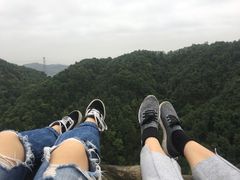 -南山植物园