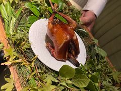 -蝶舍·MAISON PAPILLON