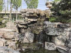 -丰台花园