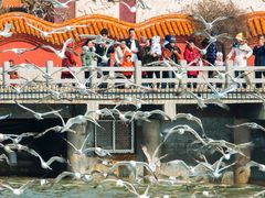 -八仙过海景区