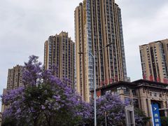 -重庆彩云湖湿地公园
