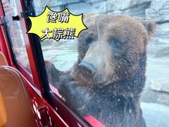 -北京野生动物园