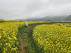 -八卦田遗址公园
