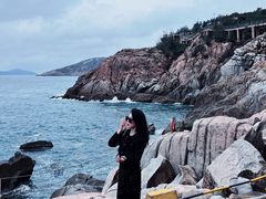 -广东惠东海龟国家级自然保护区