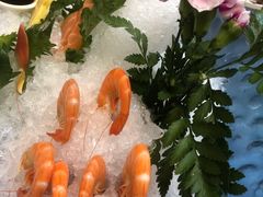 -金龙渔港(双楠店)