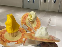 -野人先生现做冰淇淋(北京环宇荟店)