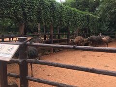 -海南热带野生动植物园