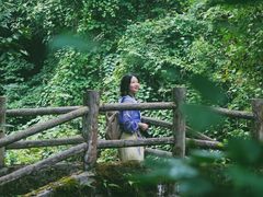 -西岭雪山大飞水景区