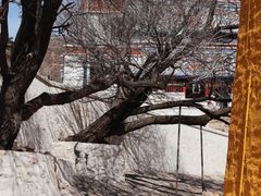 -五当召景区