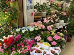 -溪岸路花鸟市场