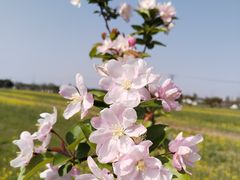 -嘉北郊野公园