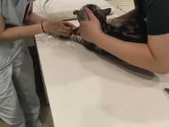 -悦宠凯宝动物医院·牙科·皮肤科(朝阳北路店)