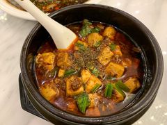 -陈麻婆豆腐总店