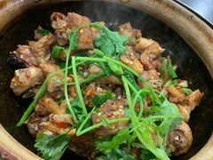 土鸡-华仔土鸡店(创意产业园店)