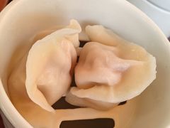 -喜鼎海胆水饺(东港店)