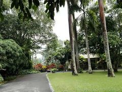 -中国科学院西双版纳热带植物园