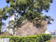 -金鸡山公园
