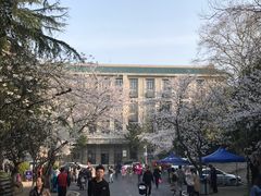 -武汉大学-樱园