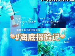 -哈尔滨波塞冬海底世界