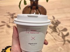 -代数学家algebraist(诚品店)