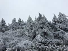 -峨嵋山金顶