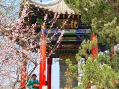 -桃花堤公园