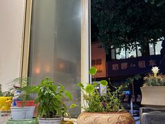 -北洋大众回民饭店(民族北街店)