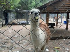 -长白岛森林公园