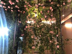 -深圳百老汇电影中心(IMAX万象天地店)