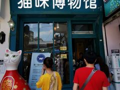 -猫咪博物馆(顶澳仔猫街店)