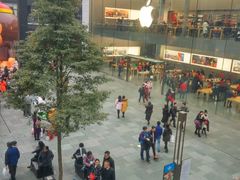 -Apple零售店(成都太古里店)
