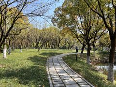 -西溪国家湿地公园