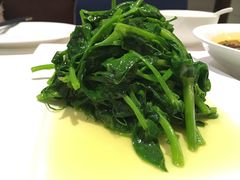 清炒豌豆尖-渝信川菜(工体店)