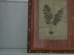 -中国第四纪冰川遗迹陈列馆