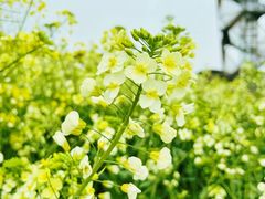 -中国天府农业博览园