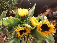 -章吴记喜瑞餐厅(东东城店)