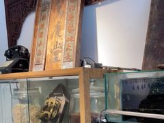 -甜心闲生·手工冰粉