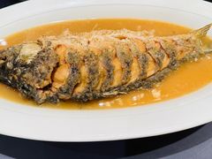 -阿庄新豫菜(航海东路店)