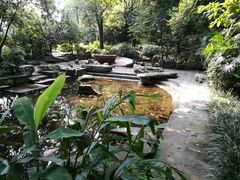 -成都市活水公园