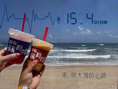 -广东惠东海龟国家级自然保护区