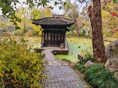 -扬州大运河文化旅游度假区·盆景园