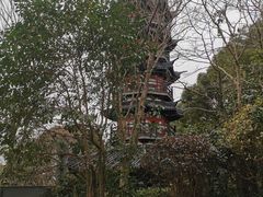 -上海佘山国家森林公园西佘山园