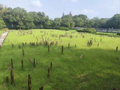 -河姆渡遗址博物馆