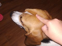 -王记西鎮电烤肉(汶上路店)