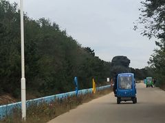 -南戴河国际娱乐中心